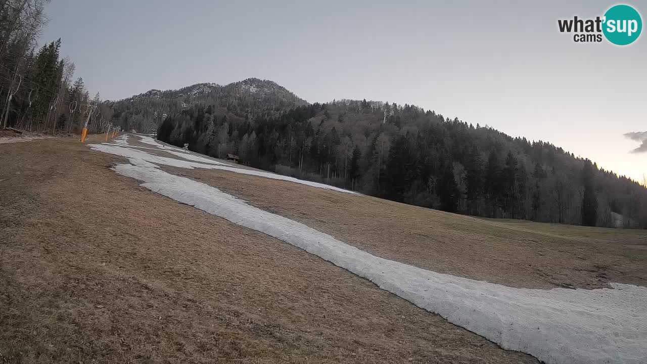 Kranjska Gora Station de ski | Brsnina