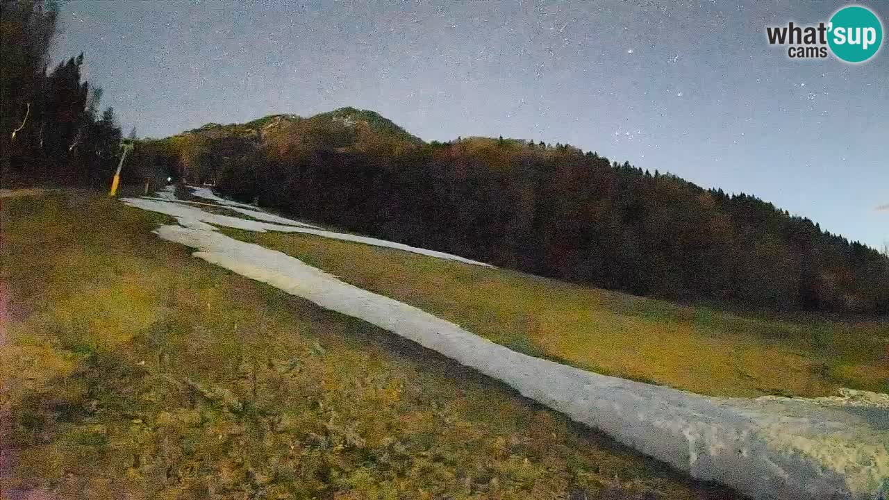 Ski Kranjska Gora | Brsnina