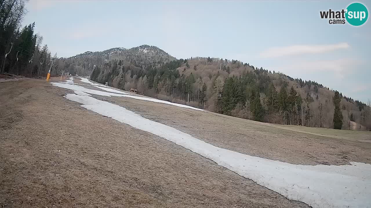 Ski Kranjska Gora | Brsnina