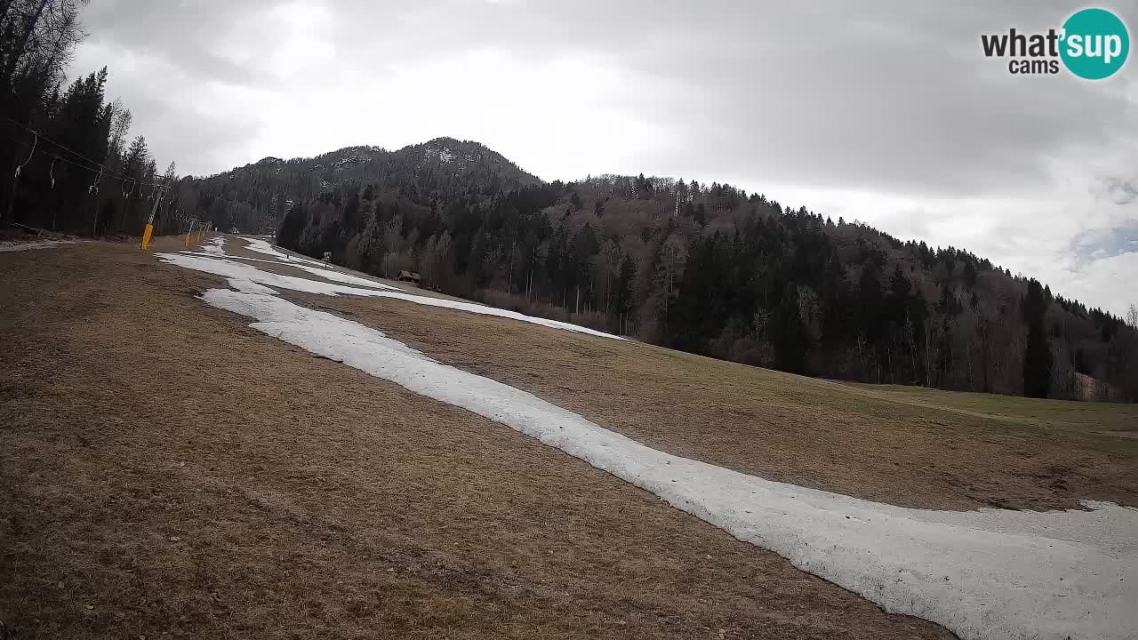 Ski Kranjska Gora | Brsnina
