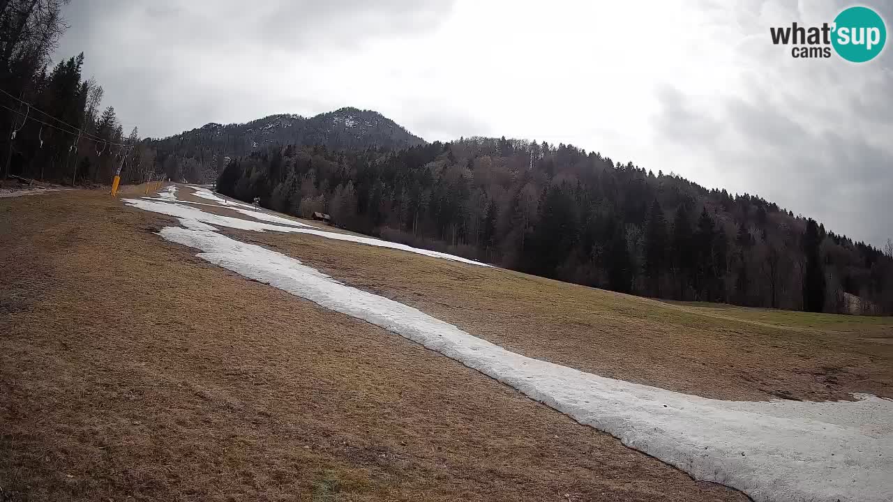 Ski Kranjska Gora | Brsnina