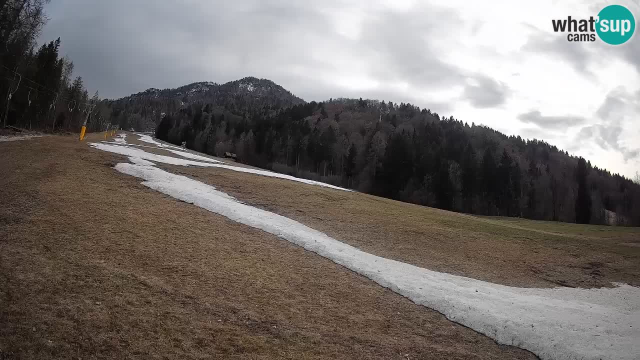Kranjska Gora Station de ski | Brsnina