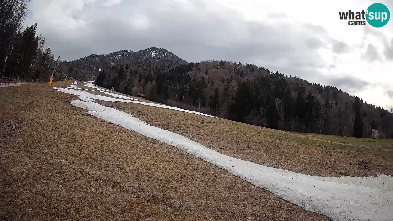 Ski Kranjska Gora | Brsnina