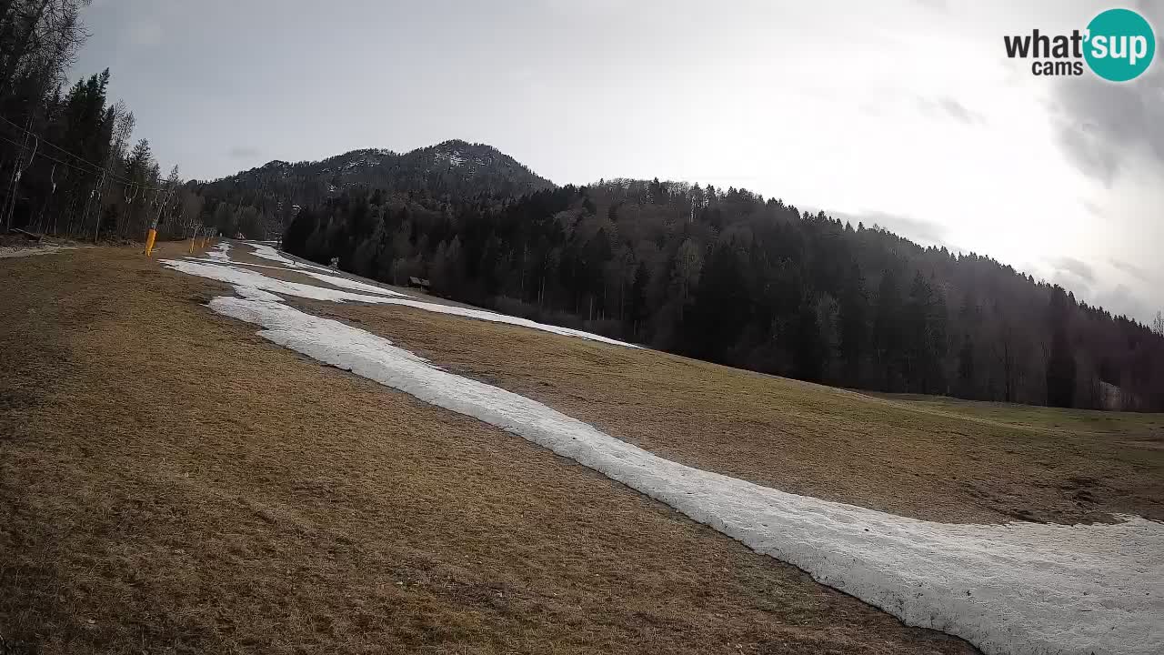 RTC Kranjska Gora | Brsnina
