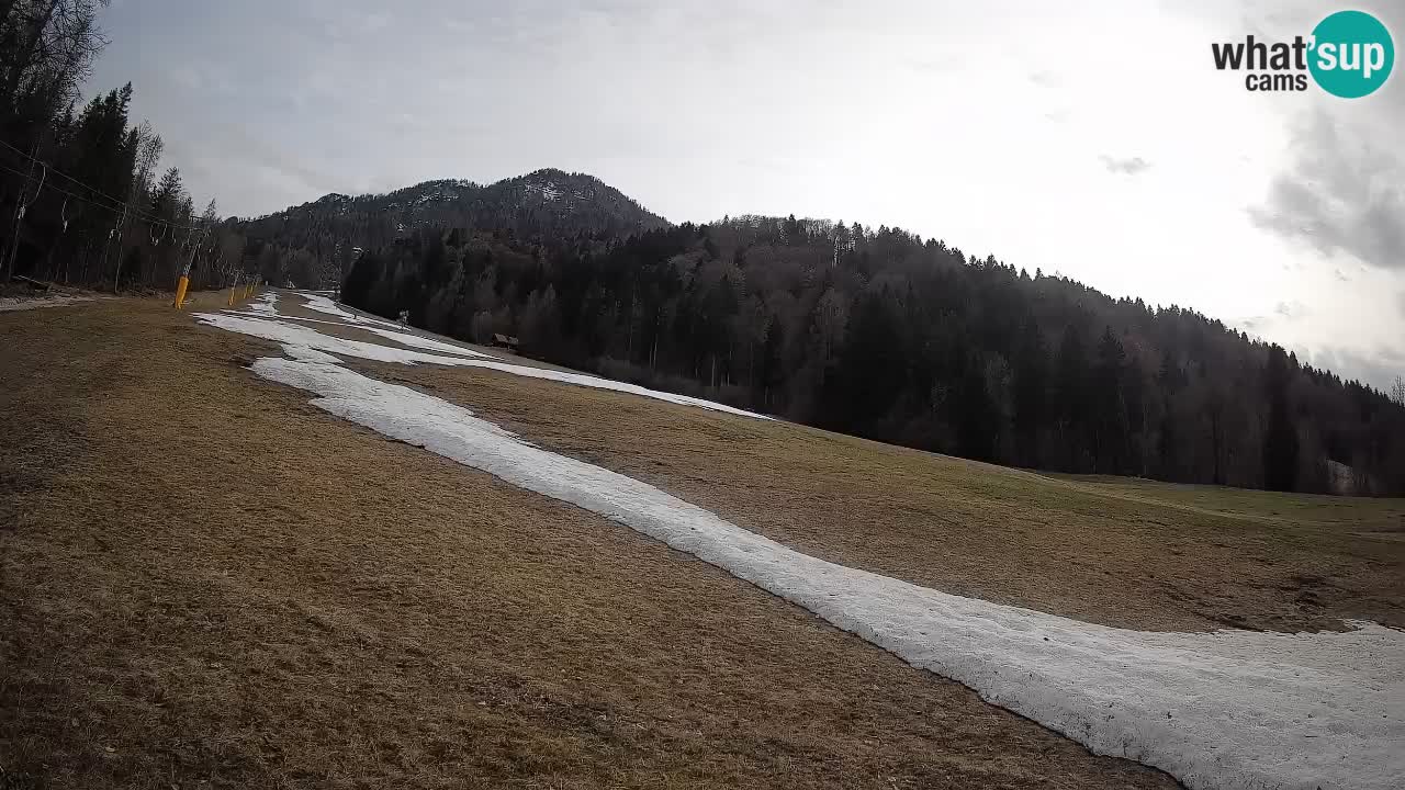 RTC Skigebiet Kranjska Gora | Brsnina