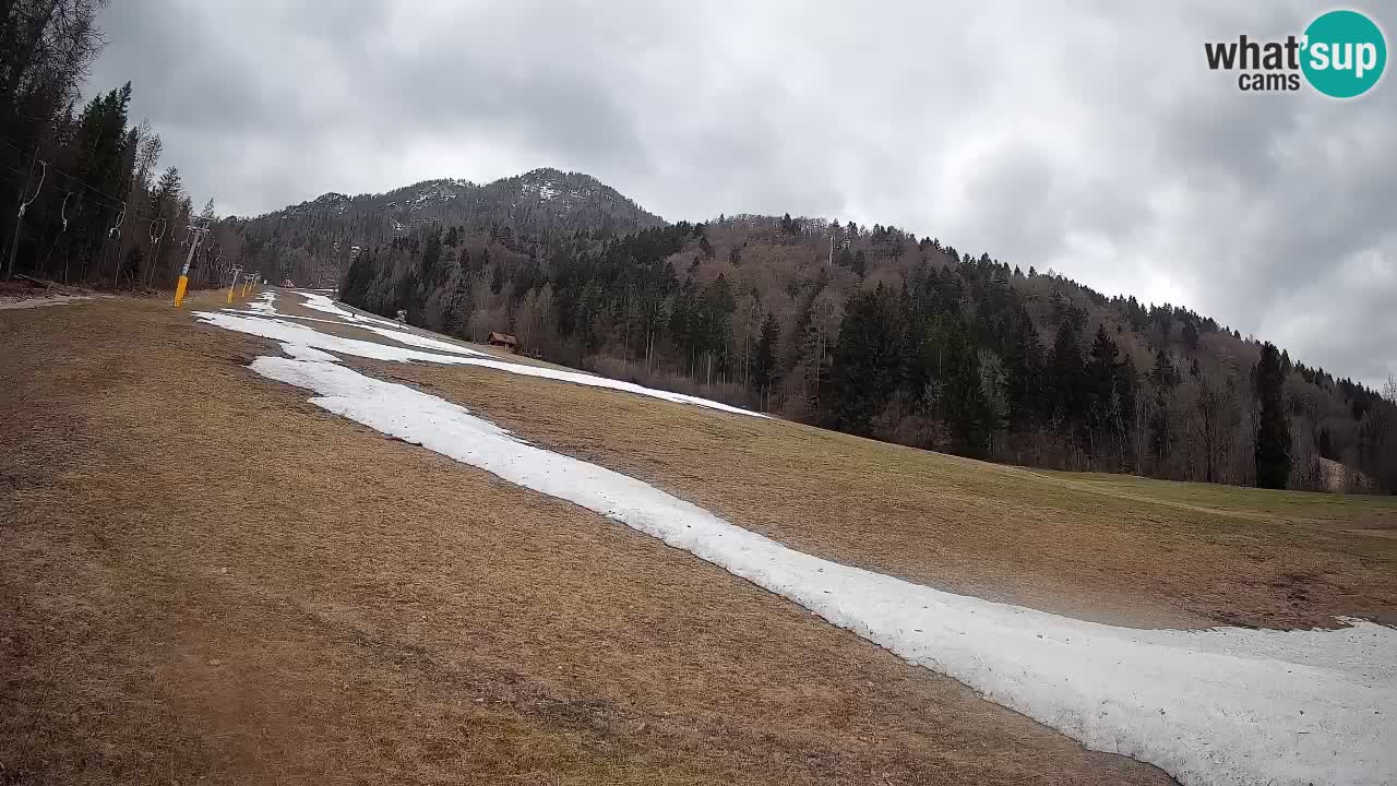 Esquí Kranjska Gora | Brsnina