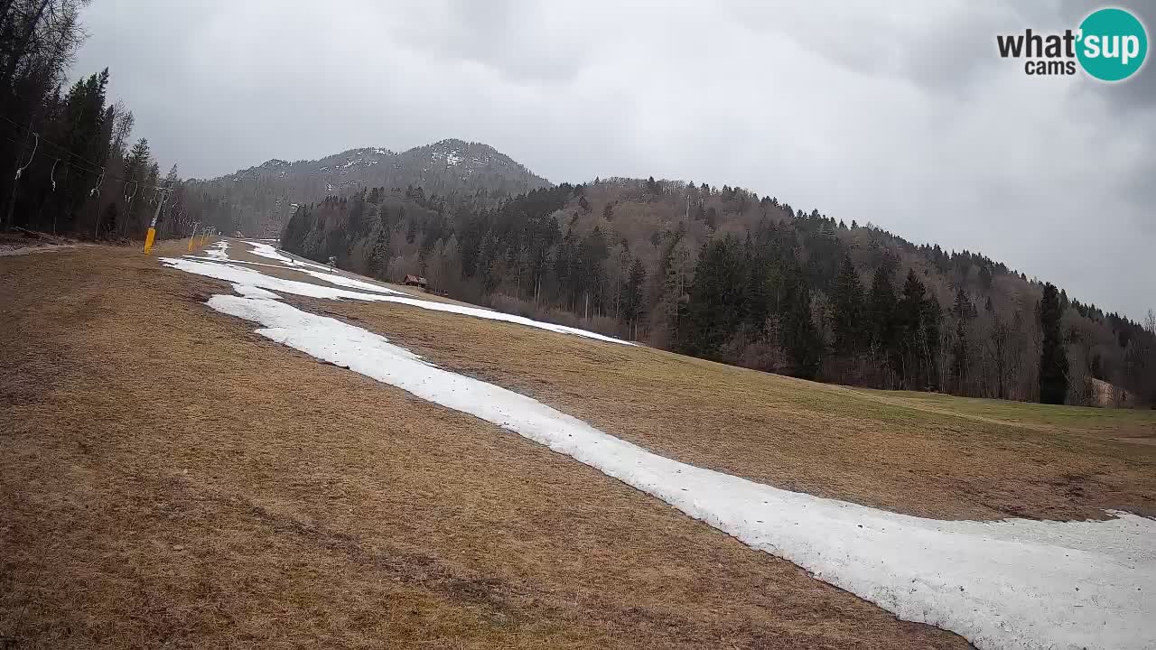 Ski Kranjska Gora | Brsnina