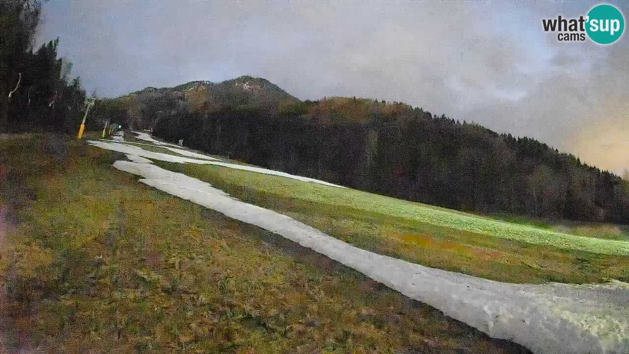 Esquí Kranjska Gora | Brsnina