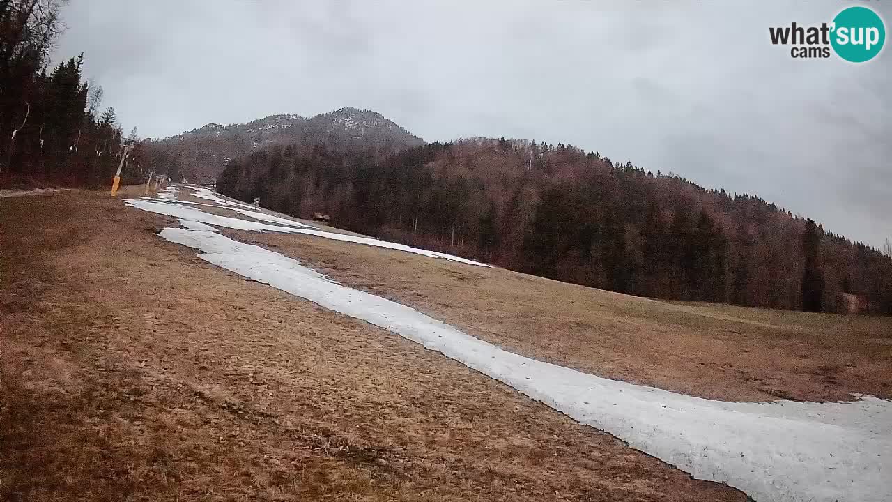 Kranjska Gora Station de ski | Brsnina