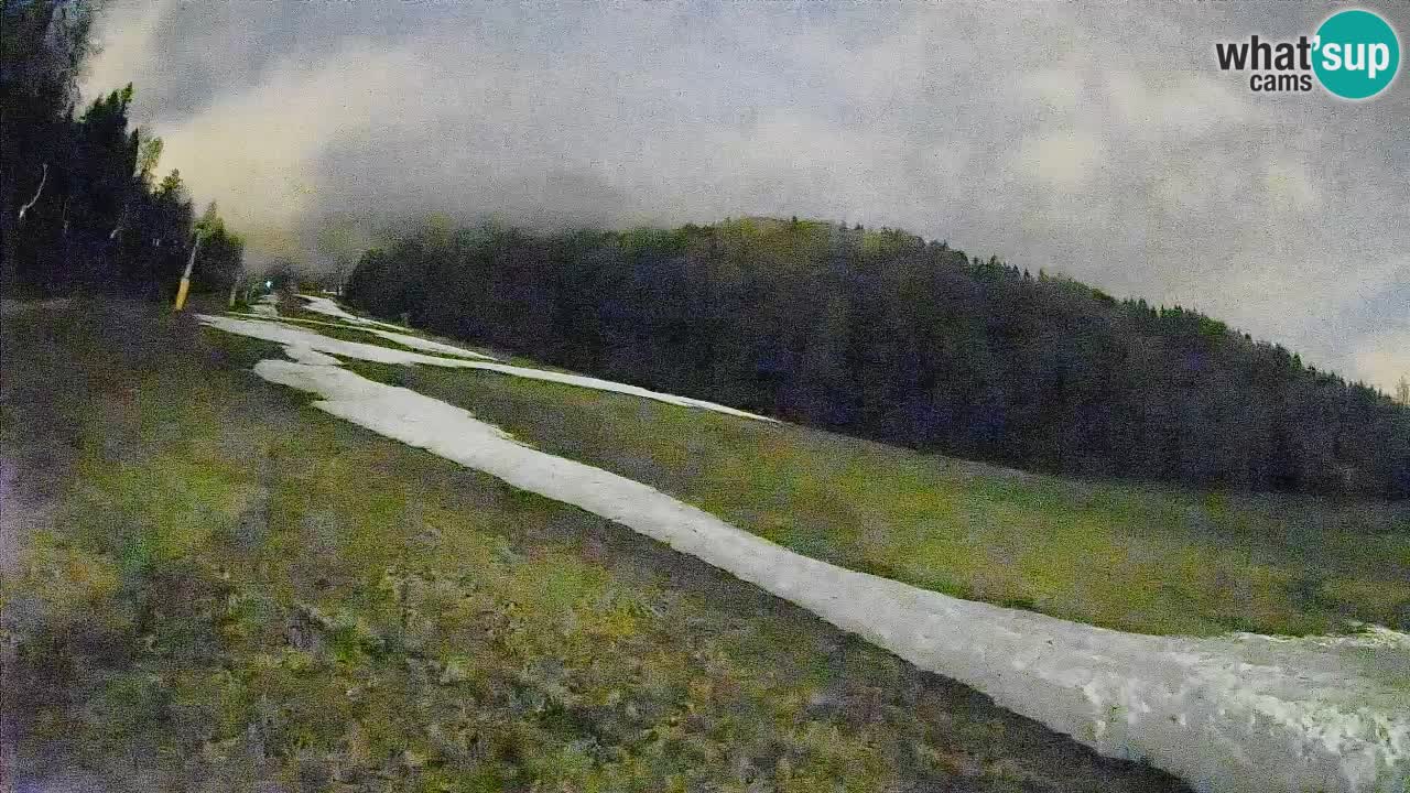 Comprensorio sciistico Kranjska Gora | Brsnina