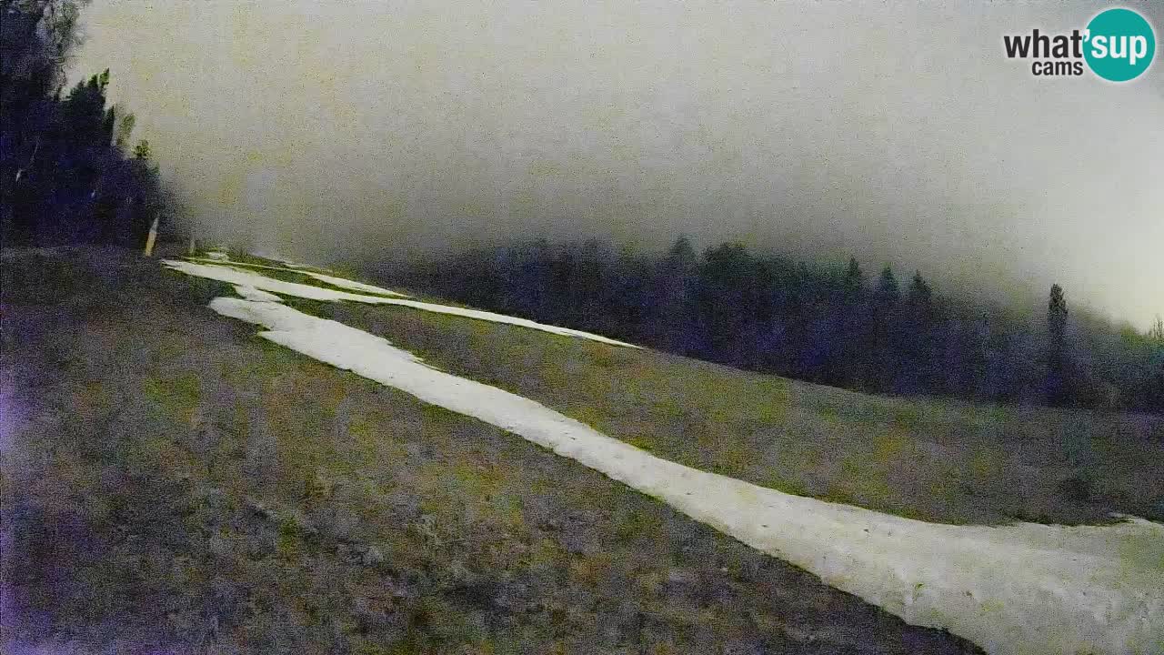 RTC Skigebiet Kranjska Gora | Brsnina