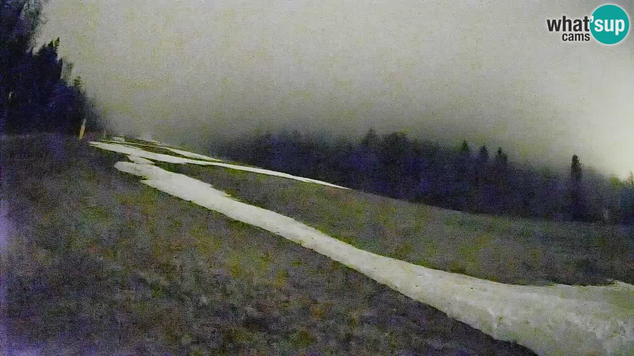 RTC Skigebiet Kranjska Gora | Brsnina