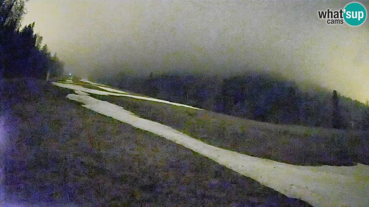 RTC Skigebiet Kranjska Gora | Brsnina