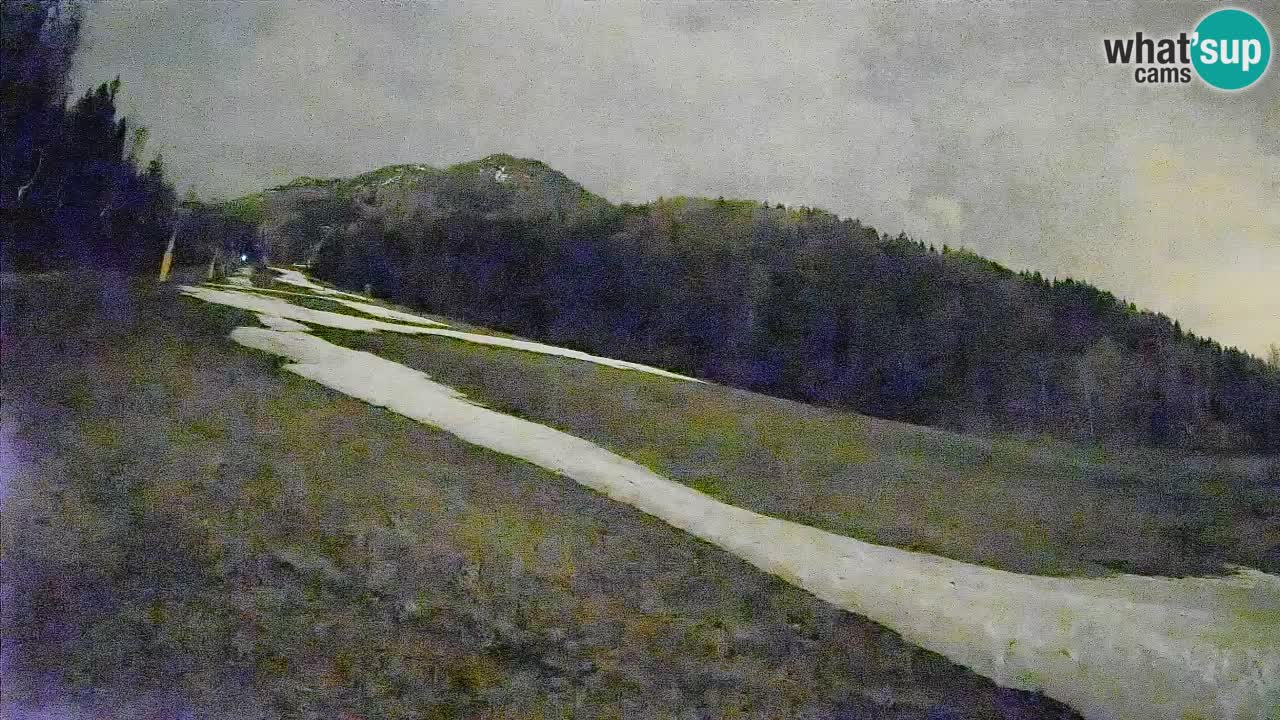 RTC Skigebiet Kranjska Gora | Brsnina