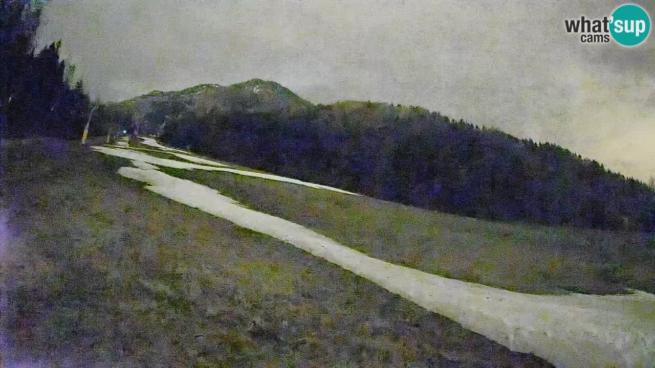 Kranjska Gora Station de ski | Brsnina