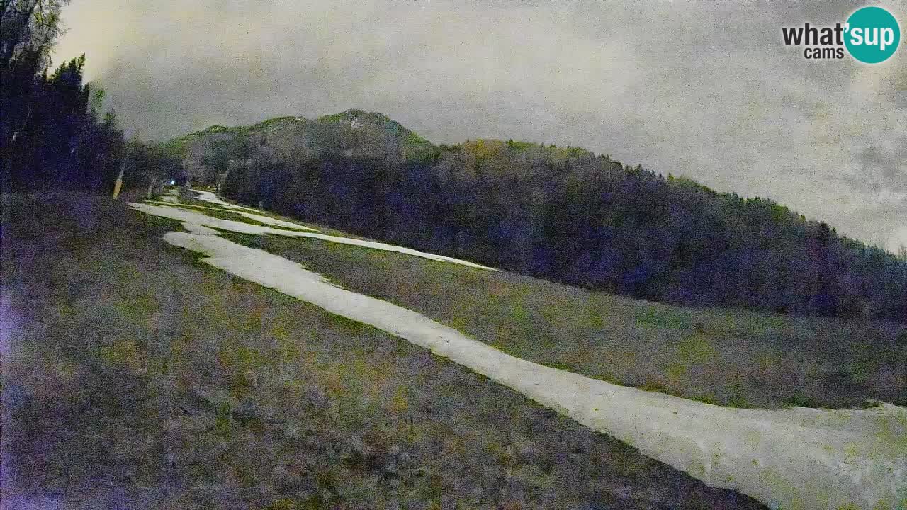 Comprensorio sciistico Kranjska Gora | Brsnina