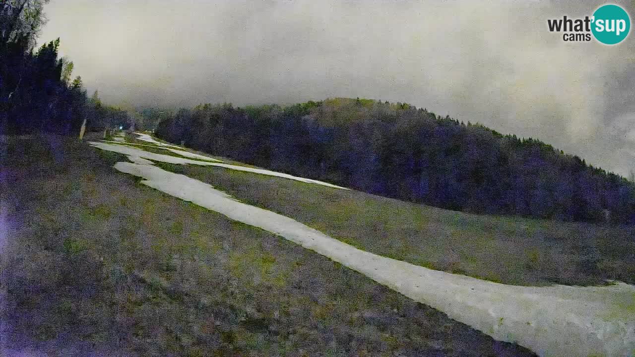 Kranjska Gora Station de ski | Brsnina