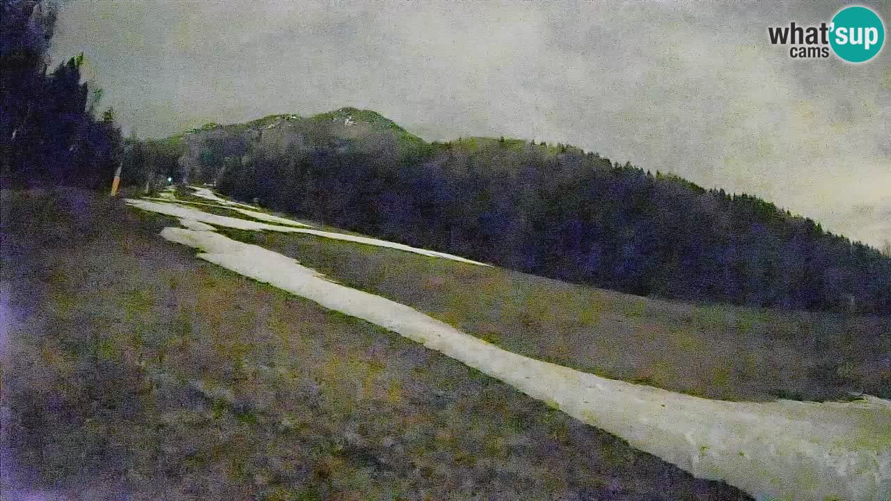 RTC Kranjska Gora | Brsnina