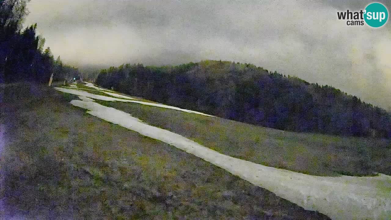 Esquí Kranjska Gora | Brsnina