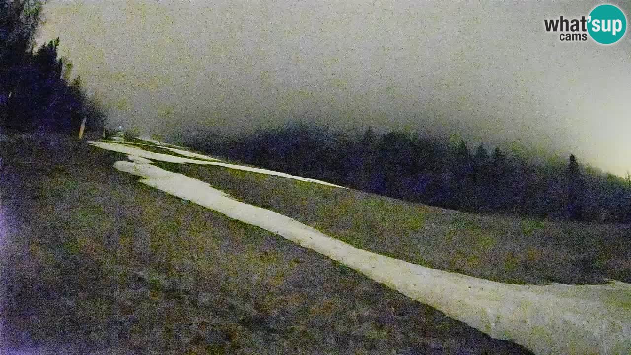 RTC Kranjska Gora | Brsnina