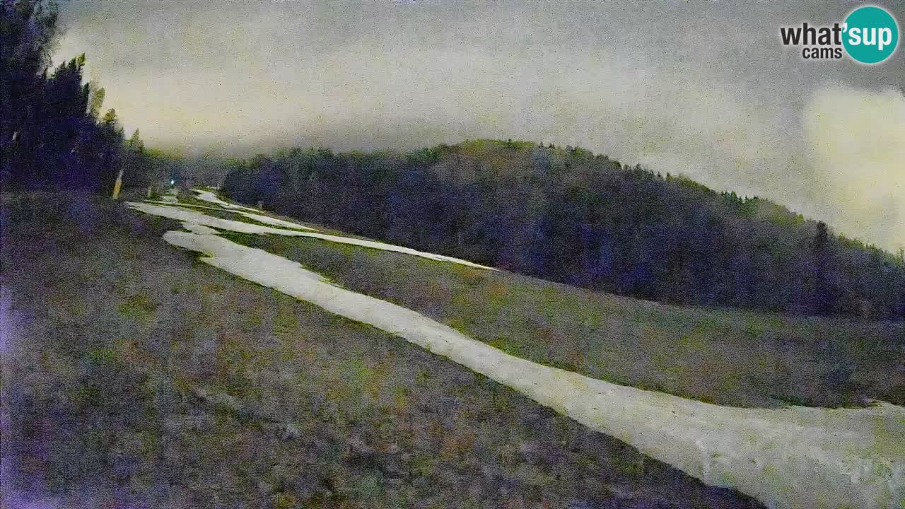 RTC Kranjska Gora | Brsnina