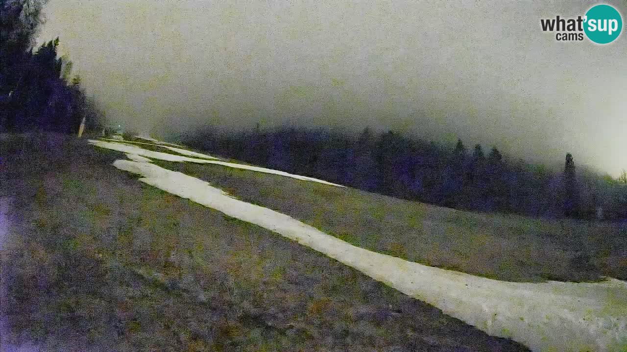 Comprensorio sciistico Kranjska Gora | Brsnina