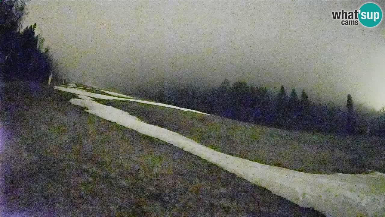 Kranjska Gora SKIJANJE | Brsnina