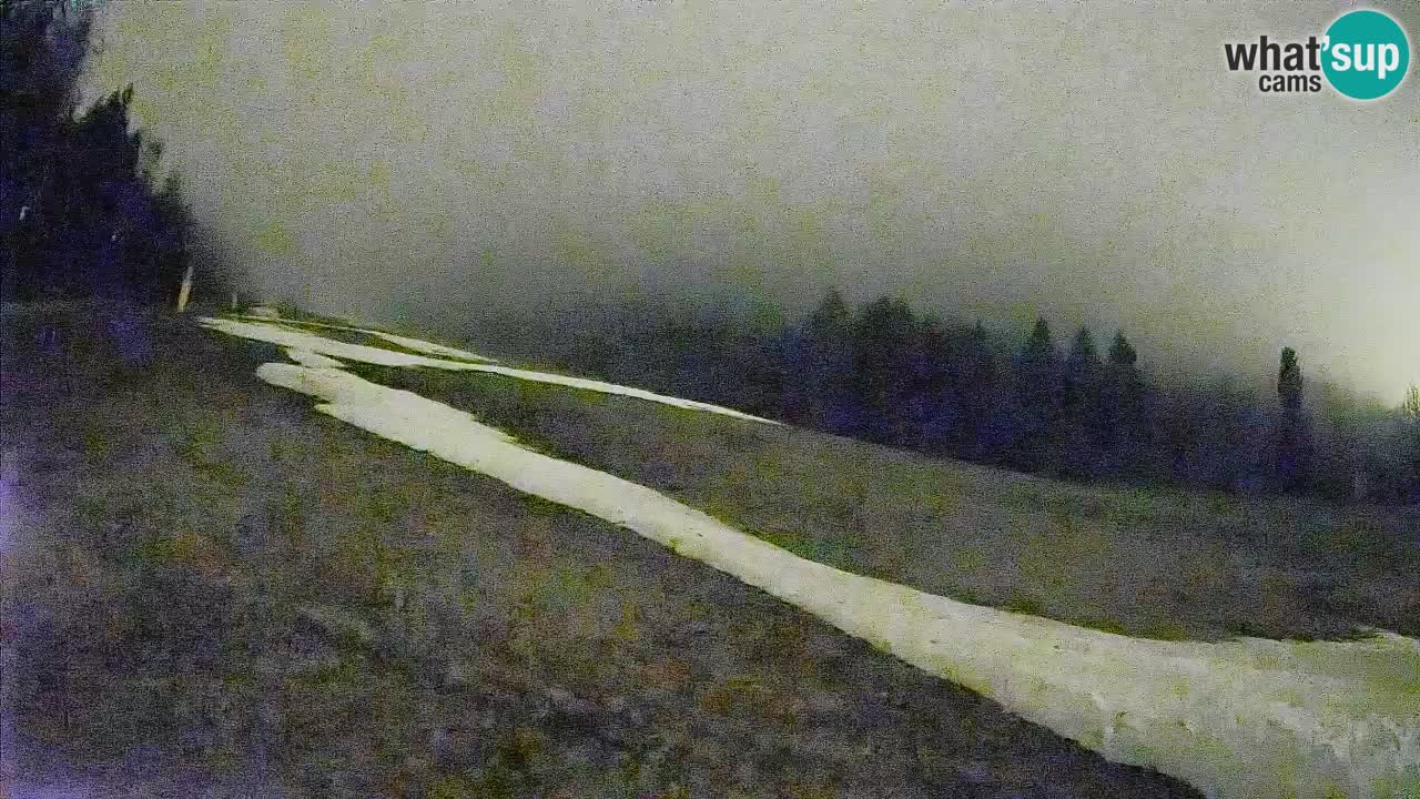 Ski Kranjska Gora | Brsnina