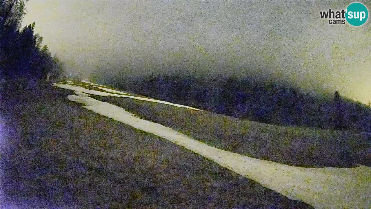 Comprensorio sciistico Kranjska Gora | Brsnina