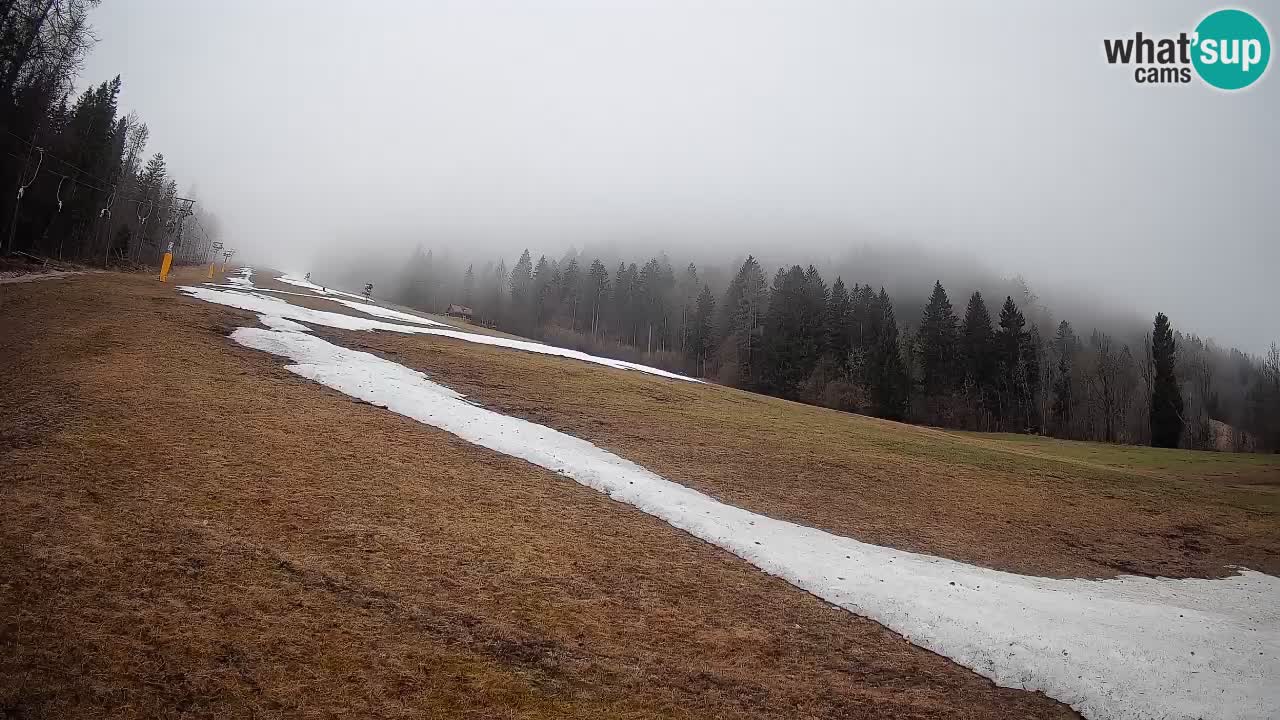 RTC Skigebiet Kranjska Gora | Brsnina