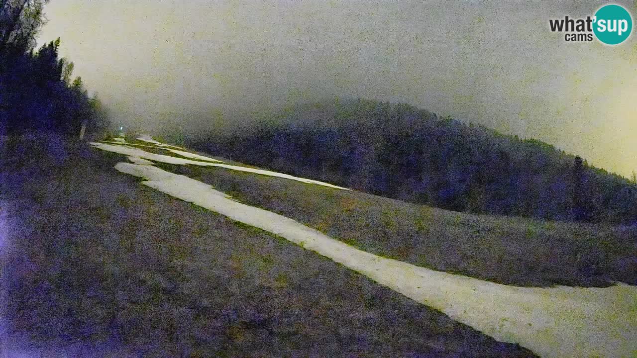 Ski Kranjska Gora | Brsnina