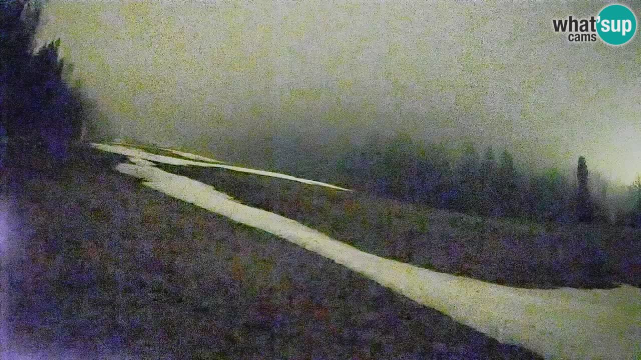 Ski Kranjska Gora | Brsnina