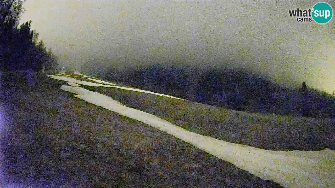 RTC Skigebiet Kranjska Gora | Brsnina