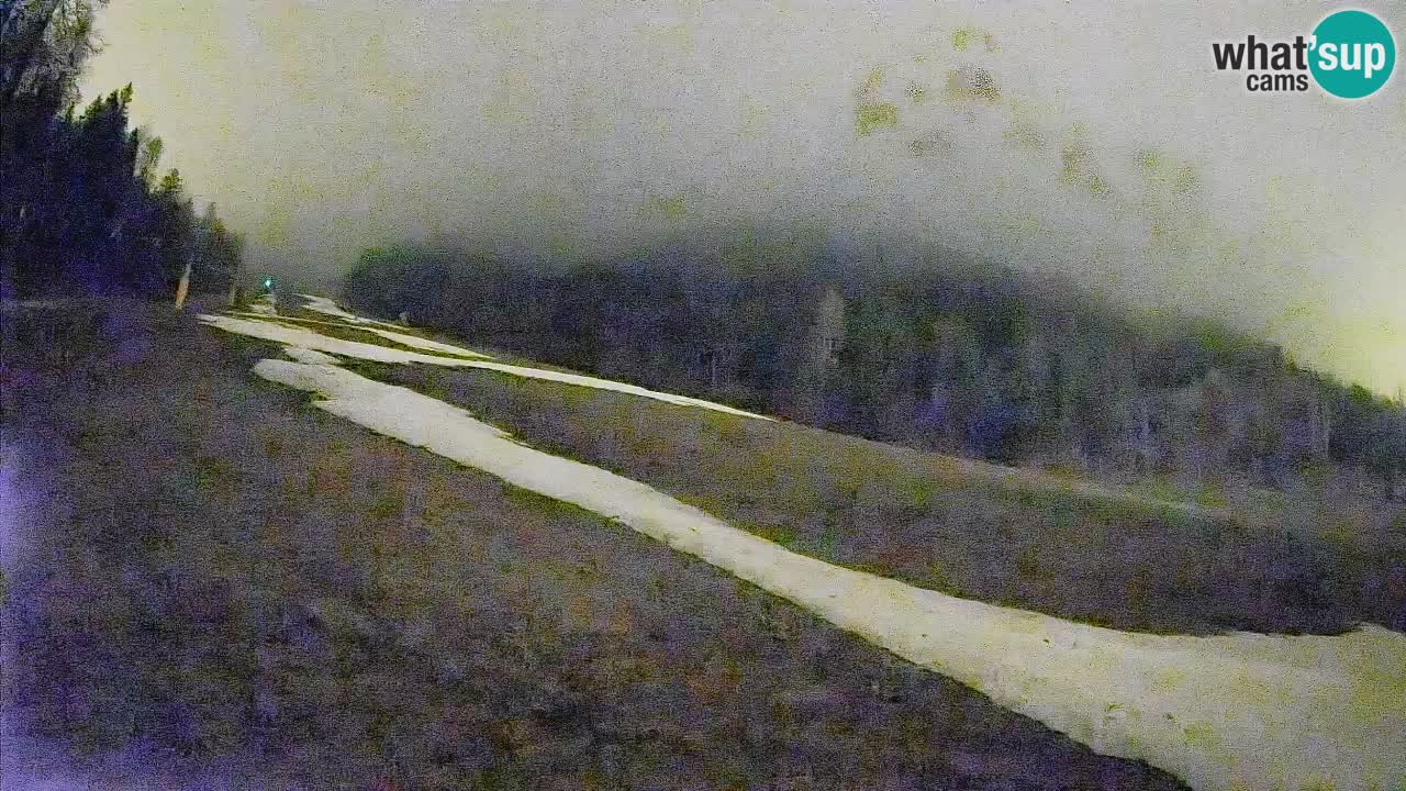 Esquí Kranjska Gora | Brsnina