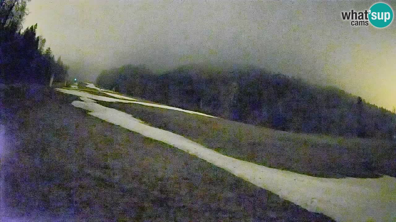 RTC Skigebiet Kranjska Gora | Brsnina