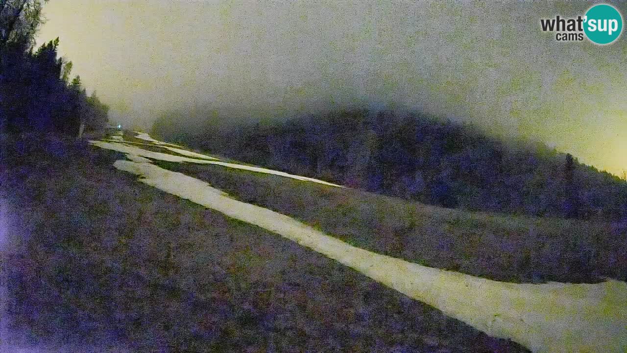 RTC Skigebiet Kranjska Gora | Brsnina