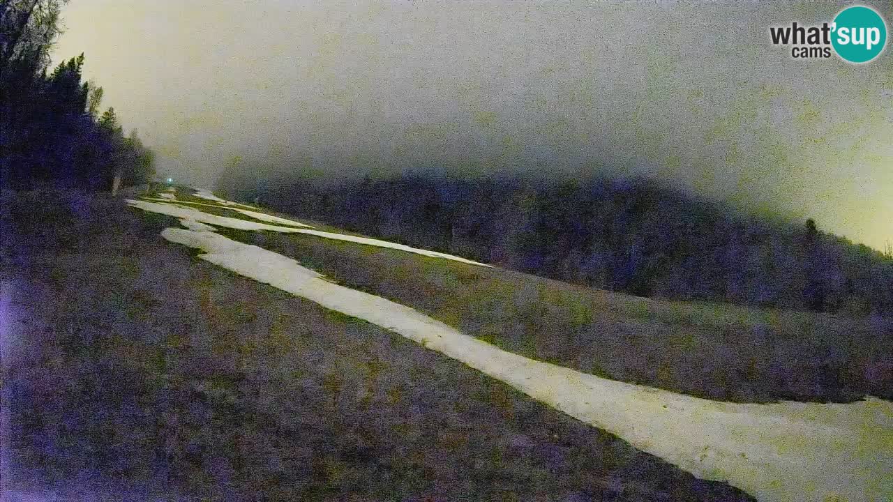 Ski Kranjska Gora | Brsnina