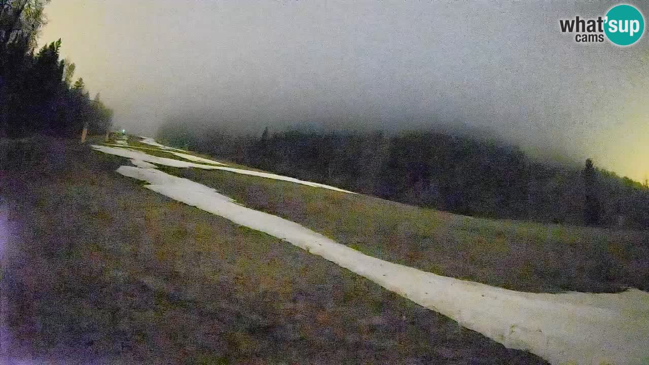 Kranjska Gora SKIJANJE | Brsnina