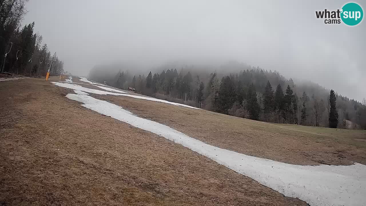 RTC Skigebiet Kranjska Gora | Brsnina