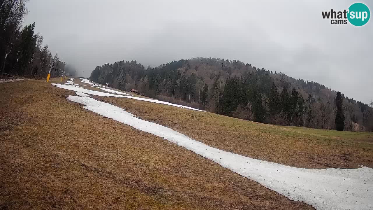 RTC Kranjska Gora | Brsnina