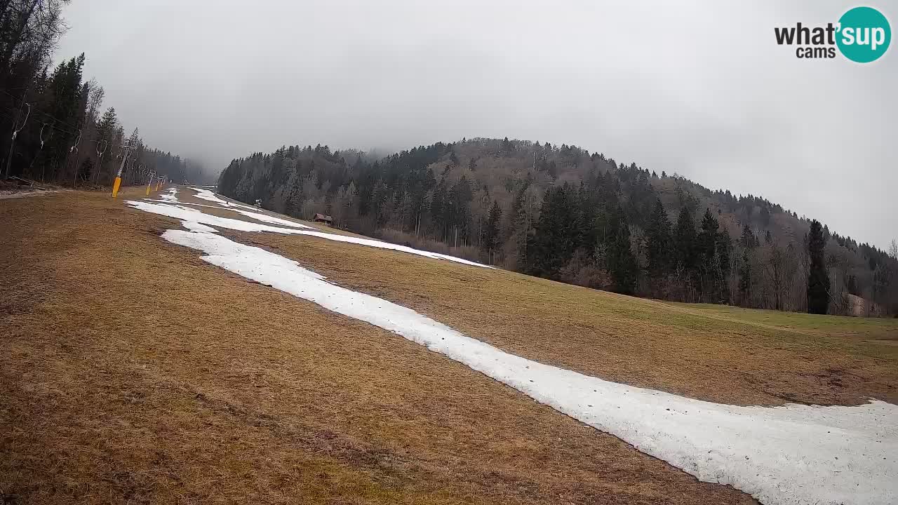 RTC Kranjska Gora | Brsnina