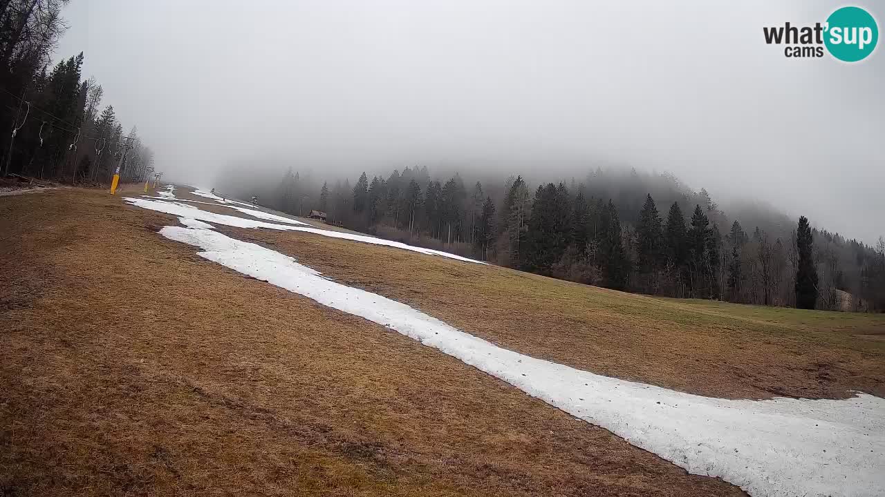 Kranjska Gora Station de ski | Brsnina