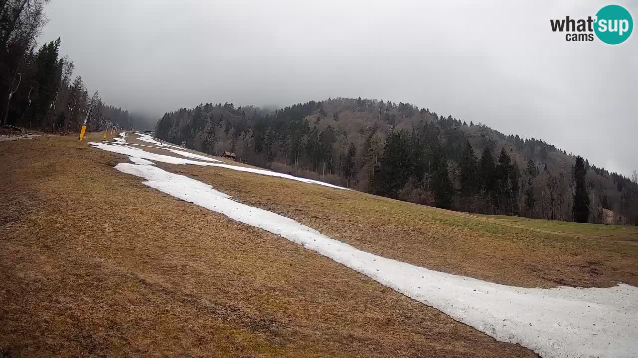 RTC Skigebiet Kranjska Gora | Brsnina