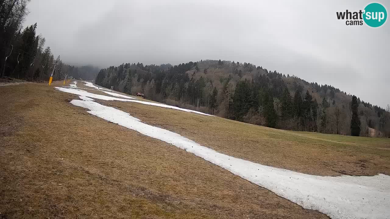 Kranjska Gora SKIJANJE | Brsnina
