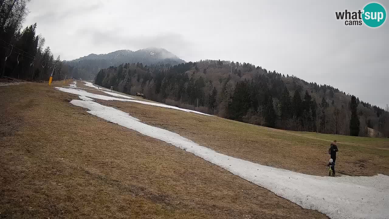 Kranjska Gora SKIJANJE | Brsnina