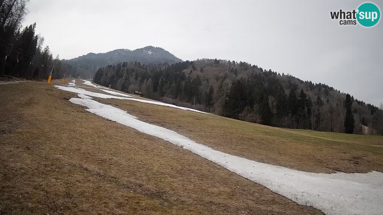 Ski Kranjska Gora | Brsnina