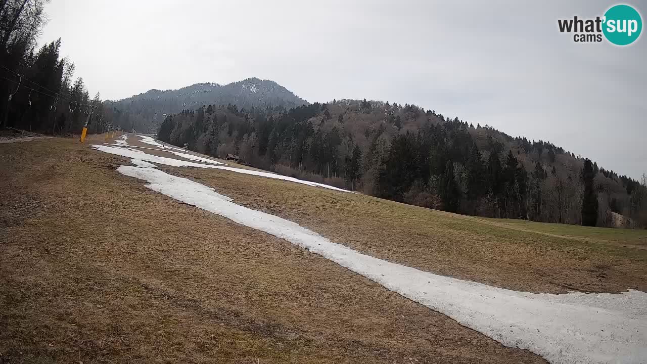 RTC Kranjska Gora | Brsnina