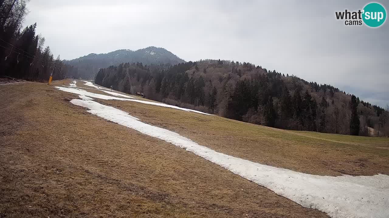 Kranjska Gora SKIJANJE | Brsnina