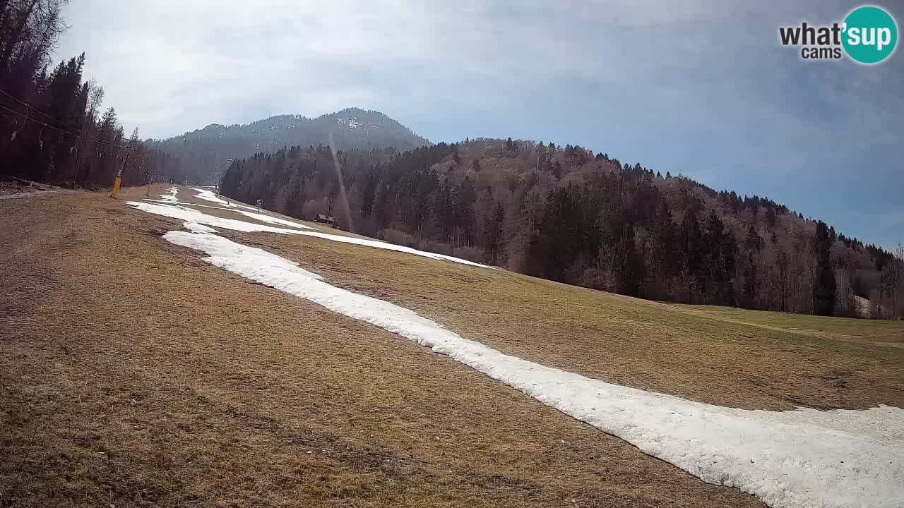 Ski Kranjska Gora | Brsnina