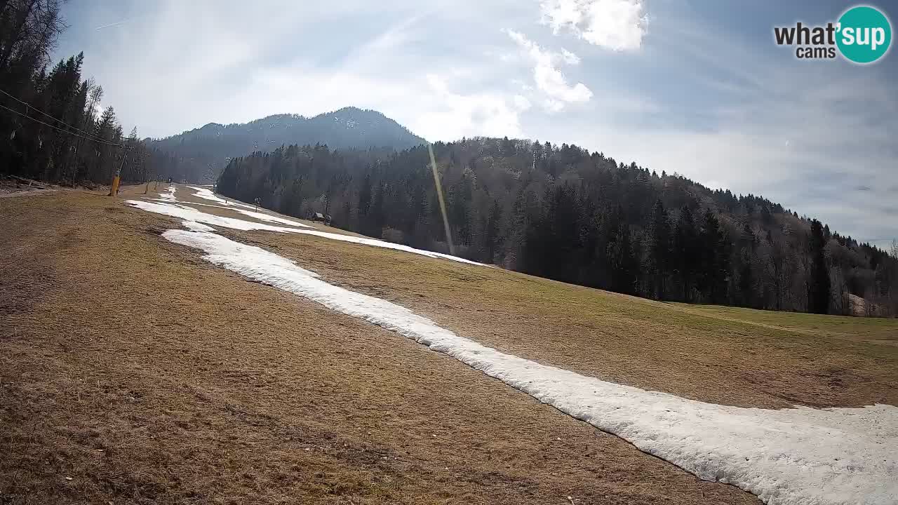 Esquí Kranjska Gora | Brsnina